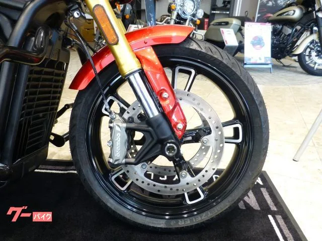 INDIAN 101 2025 — миниатюра 5