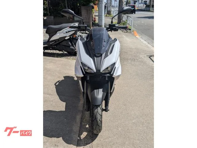 Yamaha X SG79J 2025 — миниатюра 5