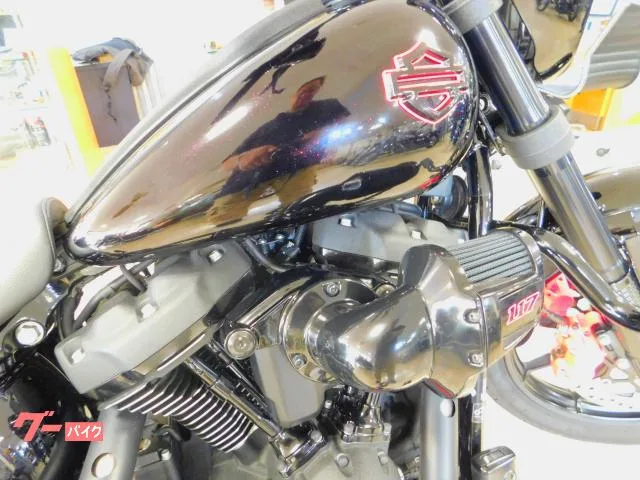 HARLEY-DAVIDSON FXLRS S 2023 — миниатюра 2