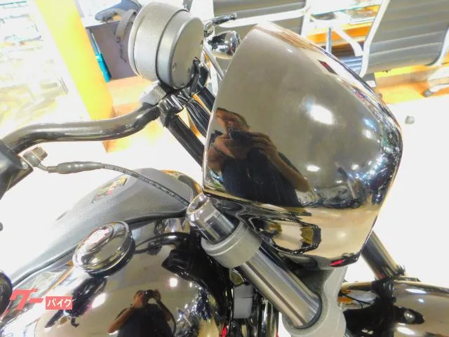 HARLEY-DAVIDSON FXLRS S 2023 — миниатюра 3