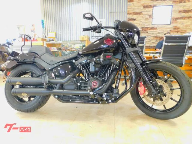 HARLEY-DAVIDSON FXLRS S 2023 — фото 1, купить с доставкой в Москву