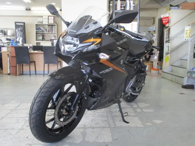 Suzuki GSX250R М4 2024 — миниатюра 5