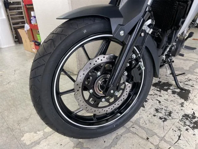 Suzuki V- 250 ABS M4 2024 — миниатюра 5