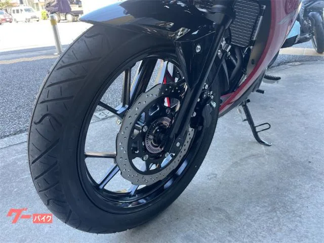 Suzuki GSX250R M4 DN12B / 2024 — миниатюра 5
