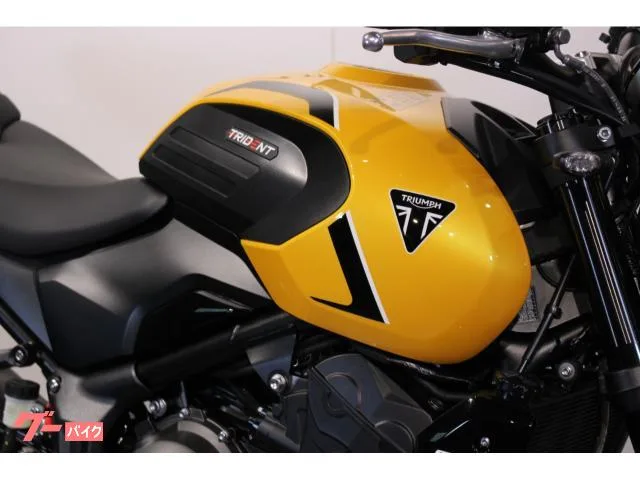 TRIUMPH 660 2026 — миниатюра 4
