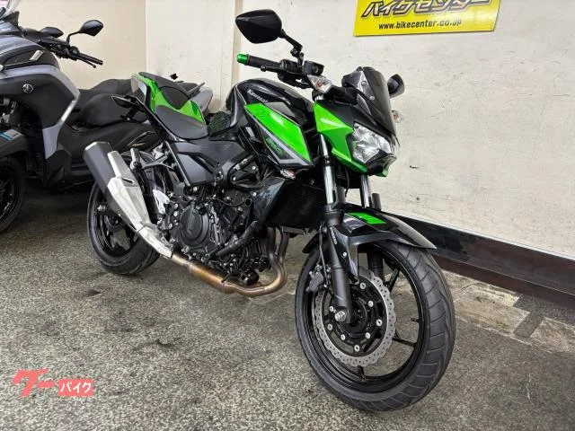 Kawasaki Z250 ABS 6MT ETC2.0 2023 — миниатюра 2