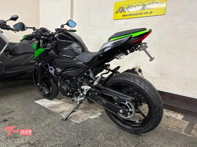 Kawasaki Z250 ABS 6MT ETC2.0 2023 — миниатюра 3