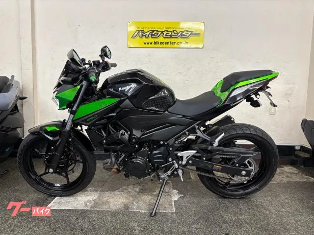 Kawasaki Z250 ABS 6MT ETC2.0 2023 — миниатюра 4