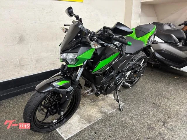 Kawasaki Z250 ABS 6MT ETC2.0 2023 — миниатюра 5