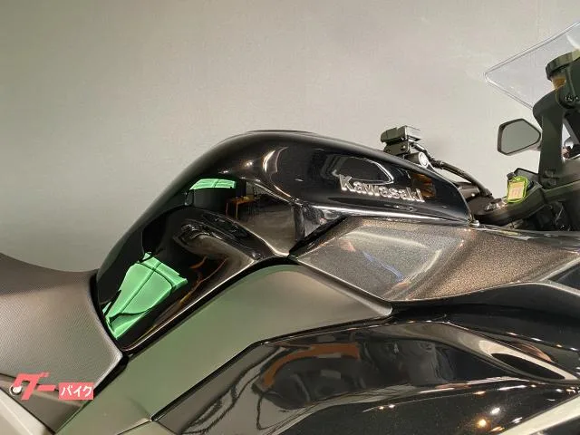 Kawasaki Ninja 1100 SX 2025 — миниатюра 3