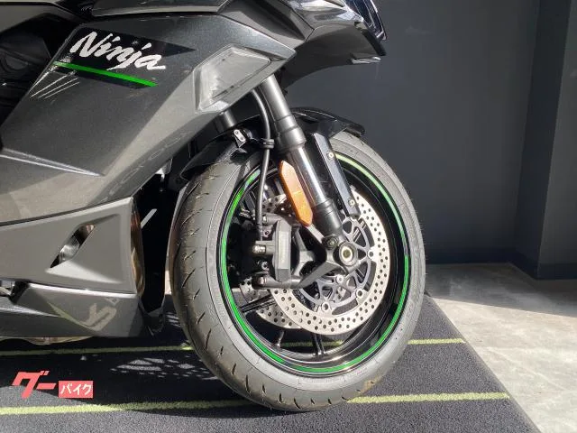 Kawasaki Ninja 1100 SX 2025 — миниатюра 5