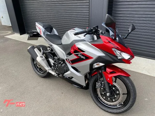 Kawasaki Ninja 250 ETC2.0 2026 — миниатюра 2