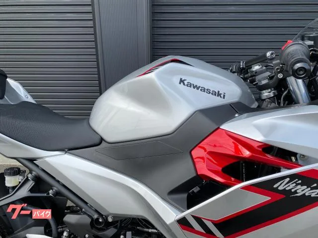 Kawasaki Ninja 250 ETC2.0 2026 — миниатюра 3