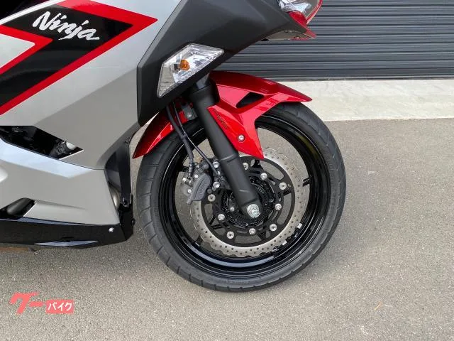 Kawasaki Ninja 250 ETC2.0 2026 — миниатюра 5