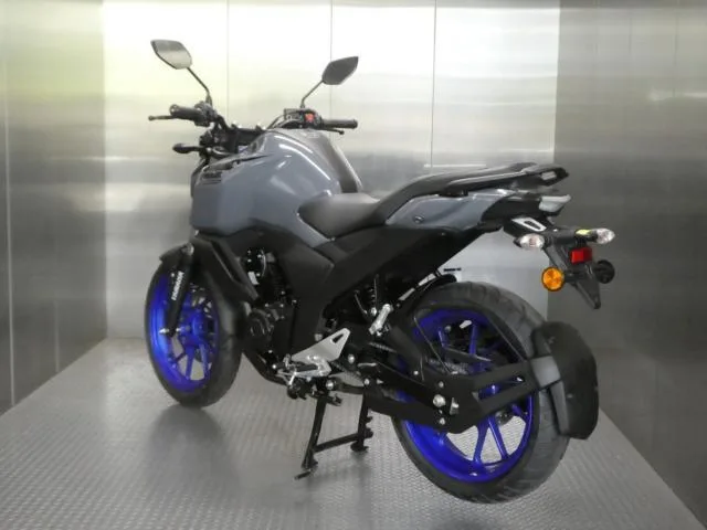 Yamaha FZS-FI DELUXE INDIA 2022 2022 — миниатюра 5