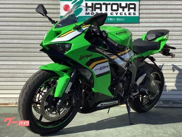 Kawasaki Ninja ZX-6R 2025 — миниатюра 3