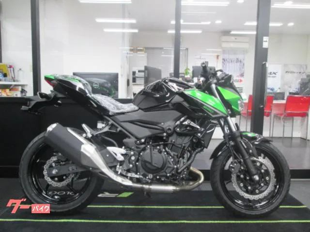 Kawasaki Z250 2023 2023 — миниатюра 2