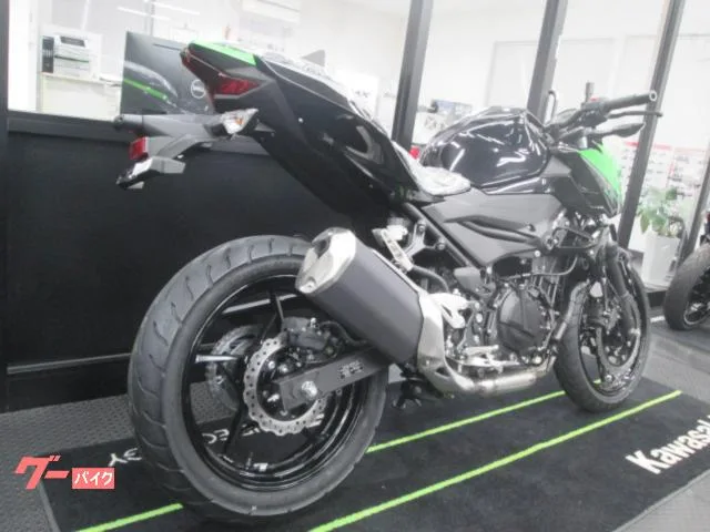 Kawasaki Z250 2023 2023 — миниатюра 3
