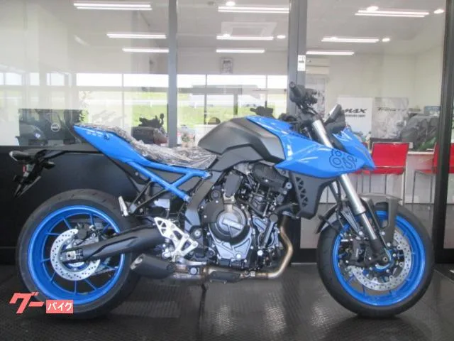 Suzuki GSX-8S 2023 — миниатюра 2