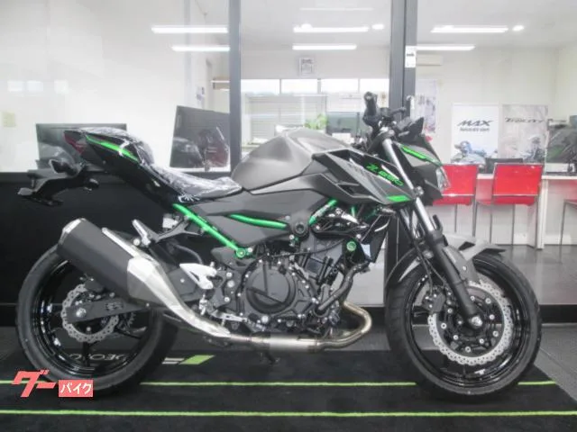 Kawasaki Z250 2024 2024 — миниатюра 2