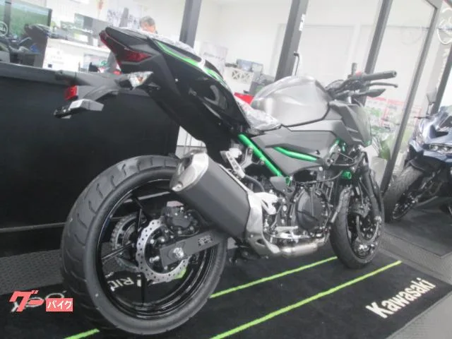 Kawasaki Z250 2024 2024 — миниатюра 3