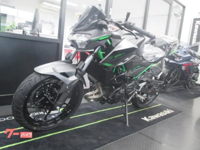 Kawasaki Z250 2024 2024 — миниатюра 5