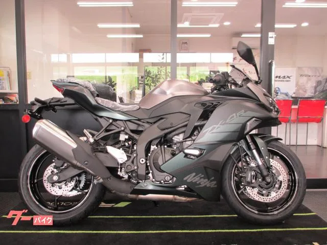 Kawasaki Ninja ZX-4R SE 2025 — миниатюра 2