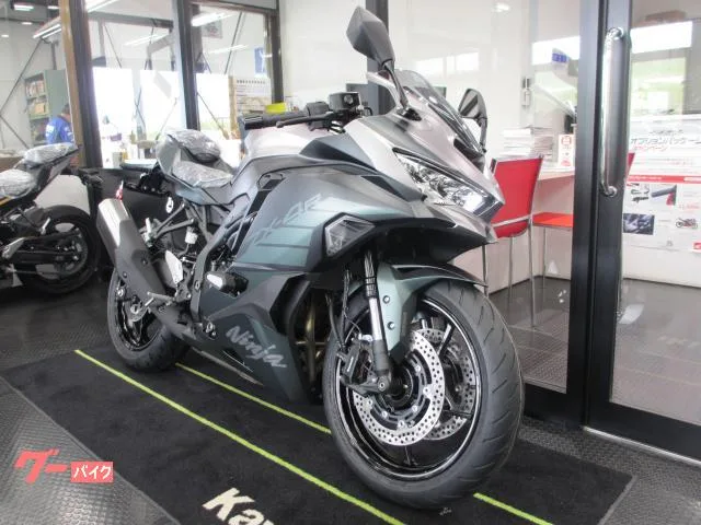 Kawasaki Ninja ZX-4R SE 2025 — миниатюра 4