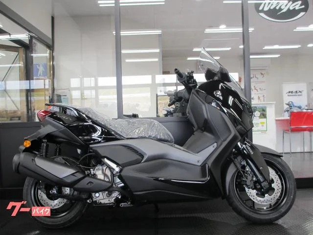 Yamaha X-MAX250 2025 — миниатюра 2