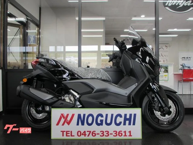 Yamaha X-MAX250 2025 — фото 1, купить с доставкой в Москву