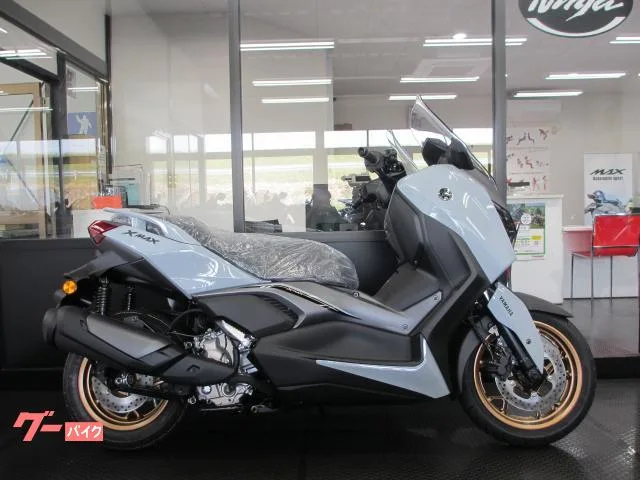 Yamaha X-MAX250 2025 — миниатюра 2