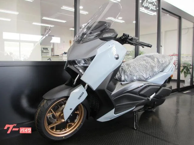 Yamaha X-MAX250 2025 — миниатюра 5