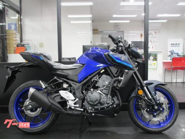 Yamaha MT-03(320cc)2025 2025 — миниатюра 2