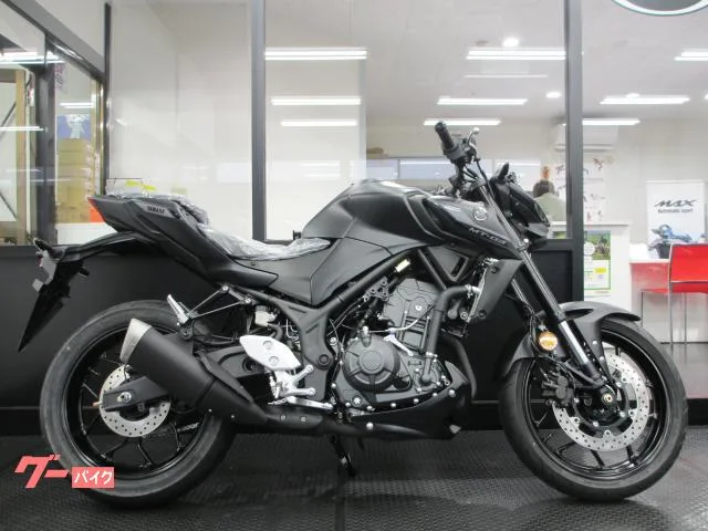 Yamaha MT-03(320cc)2025 2025 — миниатюра 2
