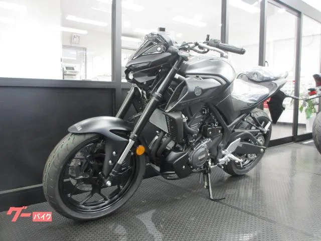 Yamaha MT-03(320cc)2025 2025 — миниатюра 5