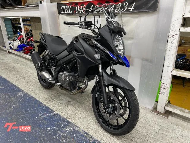 Suzuki V- 650 2024 — фото 1, купить с доставкой в Москву
