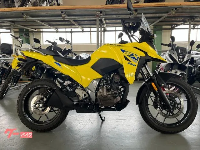 Suzuki V- 250SX 2025 2025 — миниатюра 2