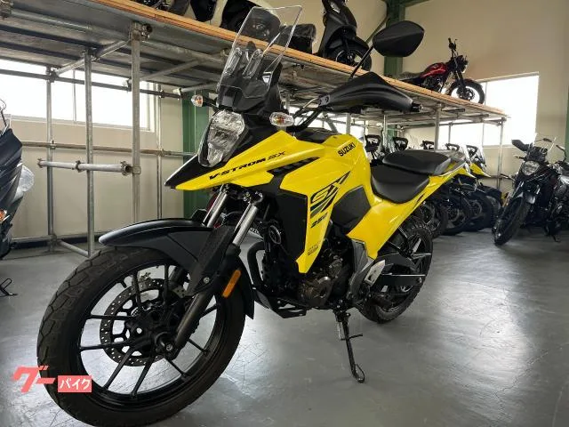 Suzuki V- 250SX 2025 2025 — миниатюра 4