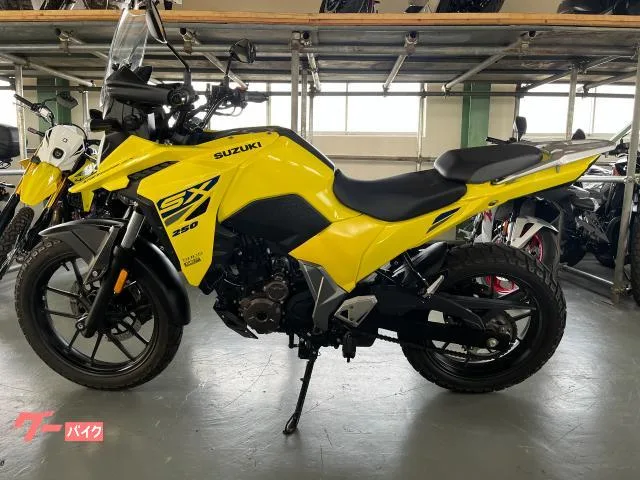 Suzuki V- 250SX 2025 2025 — миниатюра 5