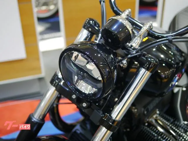 BMW R18 18 ETC2.0 2025 — миниатюра 3