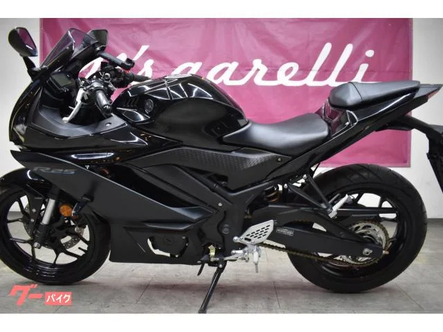 Yamaha YZF-R25 RG74J 2022 — миниатюра 2