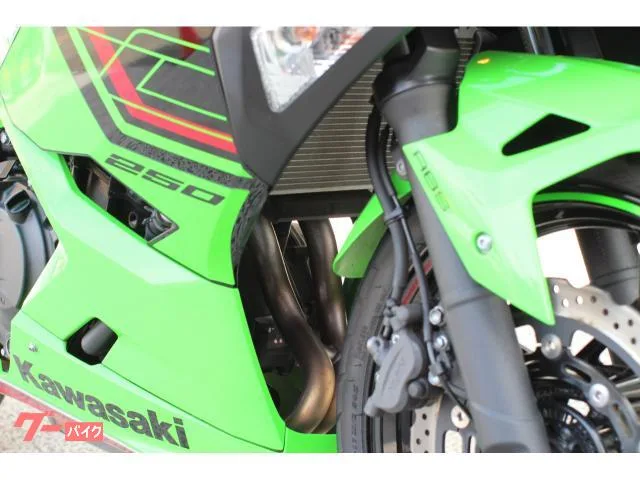 Kawasaki Ninja 250 KRT Edition 2023 — миниатюра 3