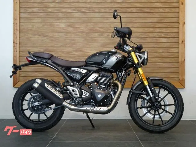 TRIUMPH 400X 2024 — миниатюра 2