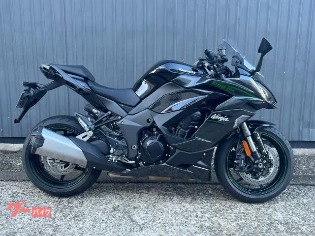 Kawasaki Ninja 1100 SX ETC2.0 2025 — миниатюра 2