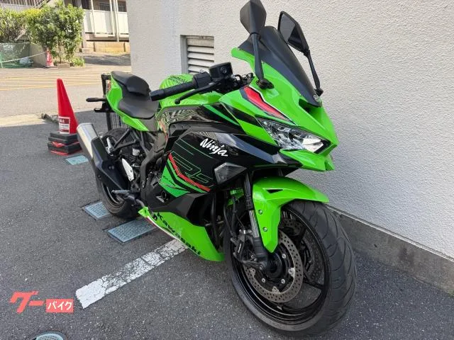 Kawasaki Ninja ZX-4R SE 2025 — миниатюра 2