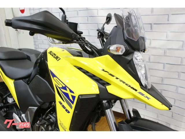 Suzuki V- 250SX ETC 2022 — миниатюра 3