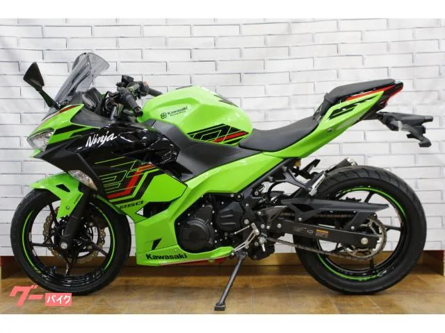 Kawasaki Ninja 250 2023 — миниатюра 3