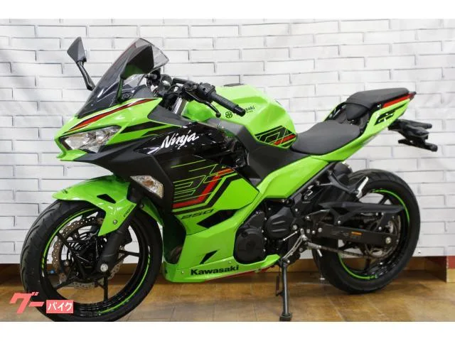Kawasaki Ninja 250 2023 — миниатюра 5