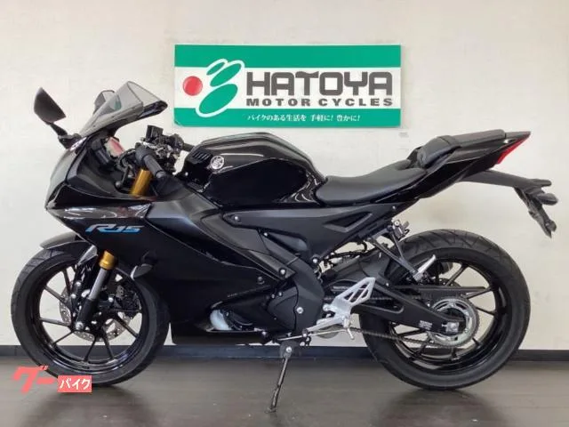 Yamaha YZF-R15 RG86J 2023 — миниатюра 2