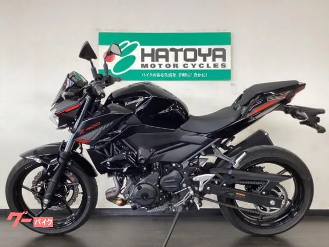 Kawasaki Z400 2024 — миниатюра 2